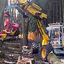 Forst- und Landschaftspflege Bechter