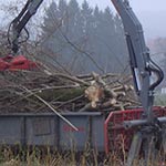 Forst- und Landschaftspflege Bechter